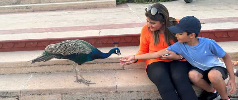 Time blocking for balancing parenting with Fhynix